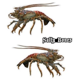 Salty Bones Florida Lobster Decal Thumbnail}