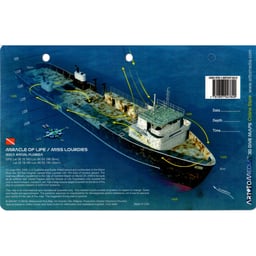 Waterproof 3D Dive Map - Miracle of Life/Miss Lourdes  - Boca Raton, FL Thumbnail}