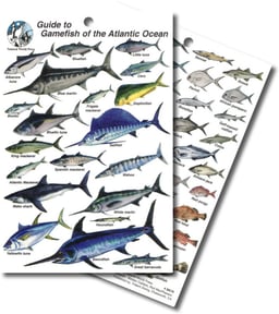 Gamefish of the Atlantic Ocean Waterproof ID Card Thumbnail}