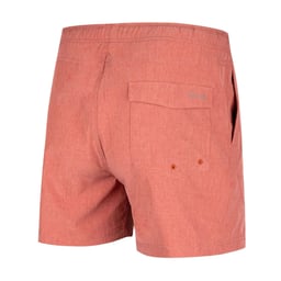 AVID Latitude Volley Shorts (Men’s) Thumbnail}