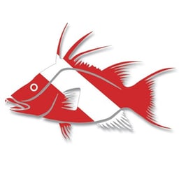 Dive Flag Hogfish Decal Thumbnail}