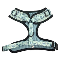 The Knotty Dawg Dog Harness - Blue starfish Thumbnail}