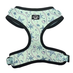 The Knotty Dawg Dog Harness - Blue Starfish Thumbnail}